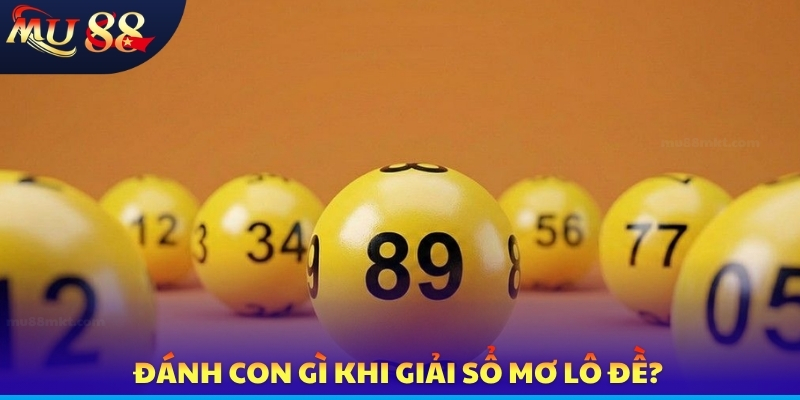 Đánh con gì khi giải sổ mơ lô đề?