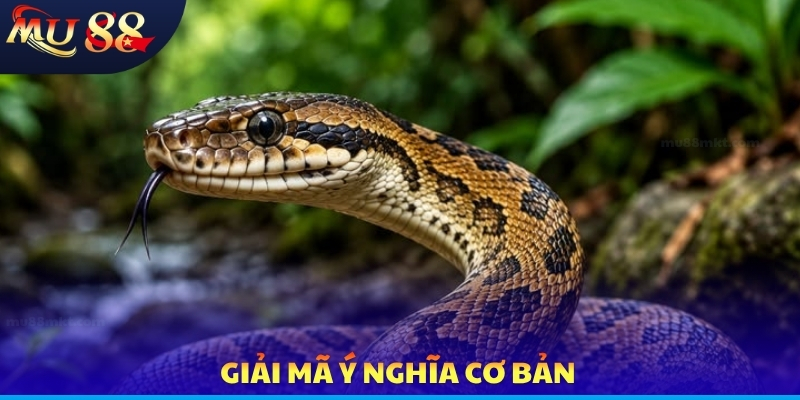 Giải mã ý nghĩa cơ bản