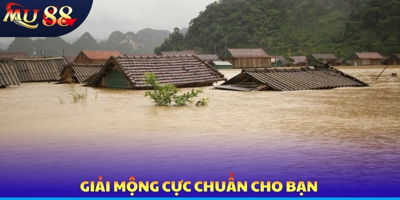 Giải mộng cực chuẩn cho bạn