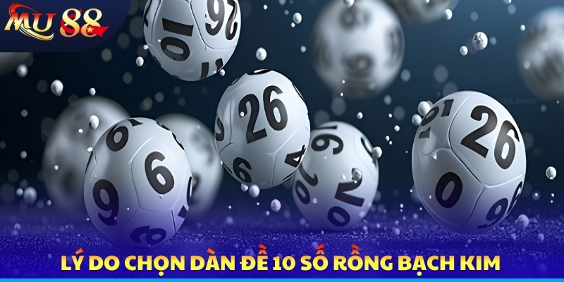 Lý do chọn dàn đề 10 số rồng bạch kim