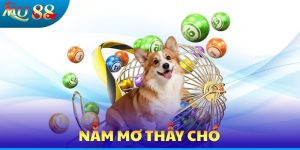 Nằm Mơ Thấy Chó