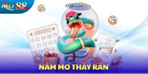 Nằm Mơ Thấy Rắn