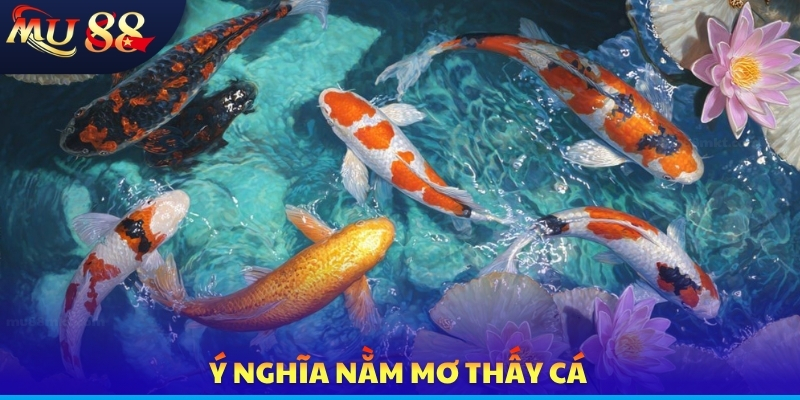 Ý nghĩa nằm mơ thấy cá